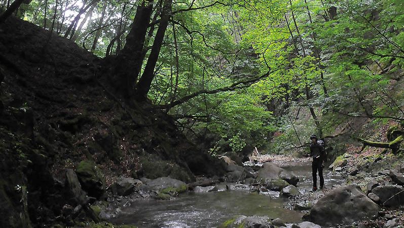 ▼▼希少 秋田県の渓流 釣り場 東京起点・日帰り1泊で楽しめる 東北の渓流釣り場 ▽▽希少 秋田県の渓流 釣り場 東京起点・日帰り1泊で楽しめる