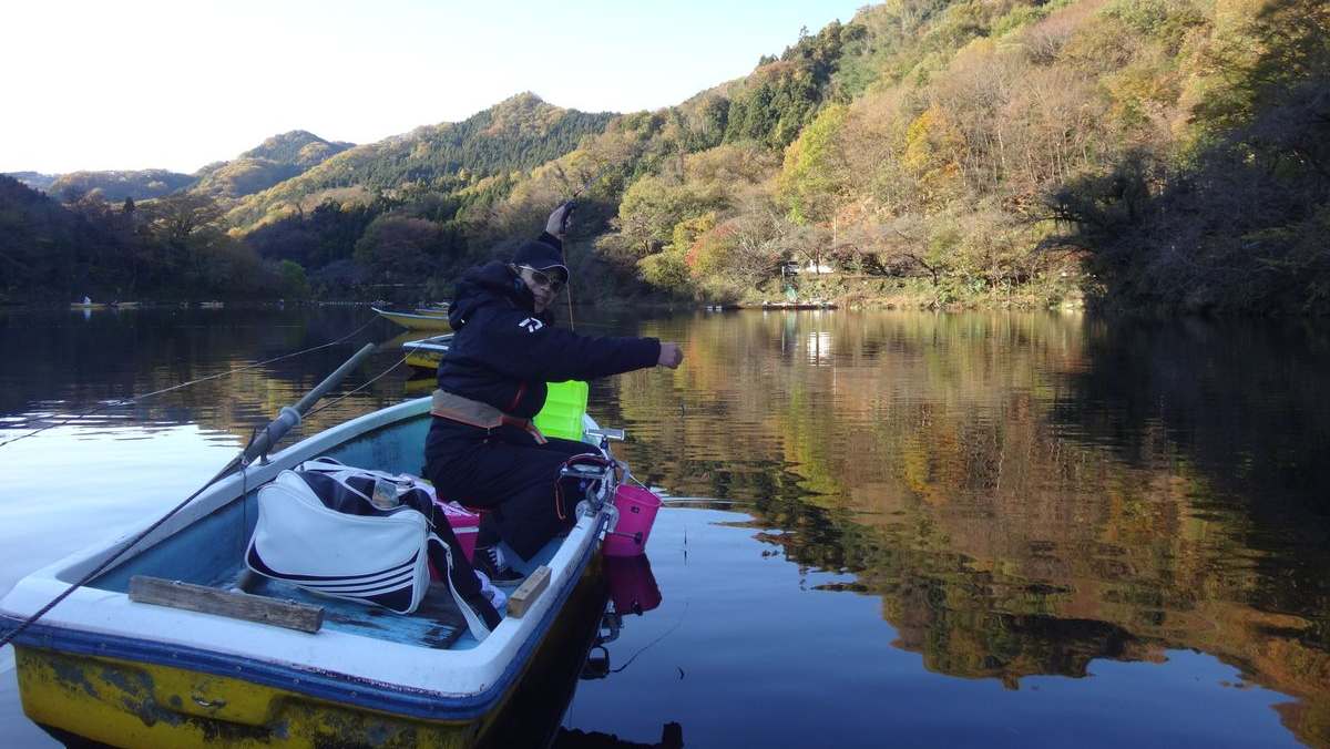 ワカサギ釣り 埼玉県本庄市 間瀬湖 全国おすすめ釣り場