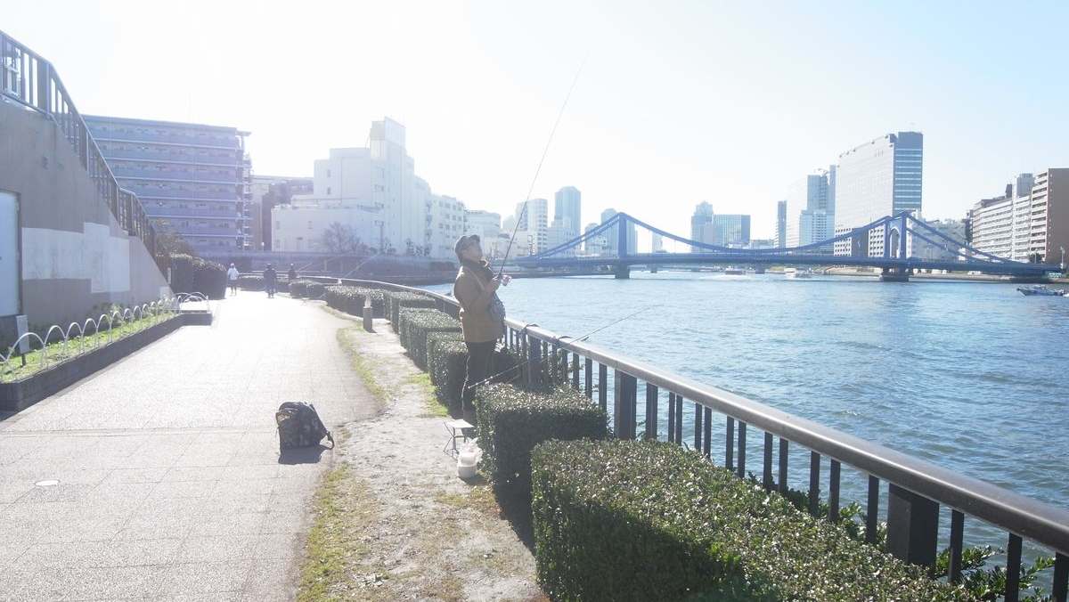 ハゼ釣り 東京都江東区 隅田川 全国おすすめ釣り場