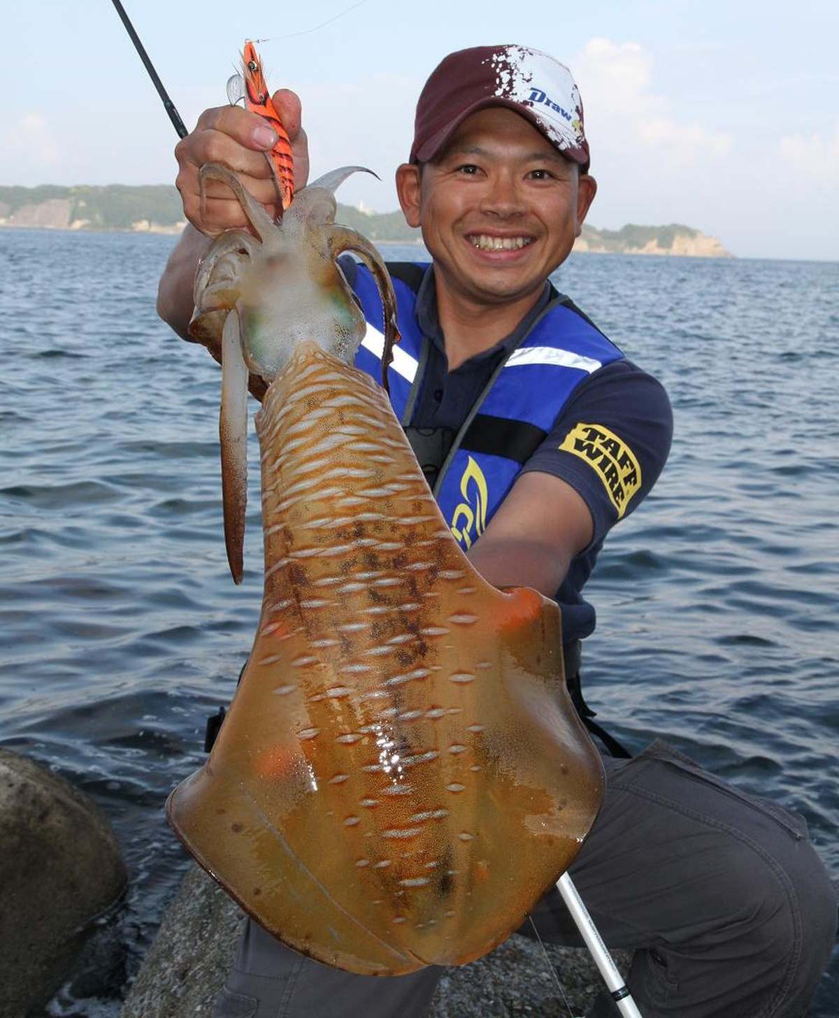 アオリイカ釣り 千葉県勝浦市 松部漁港 全国おすすめ釣り場