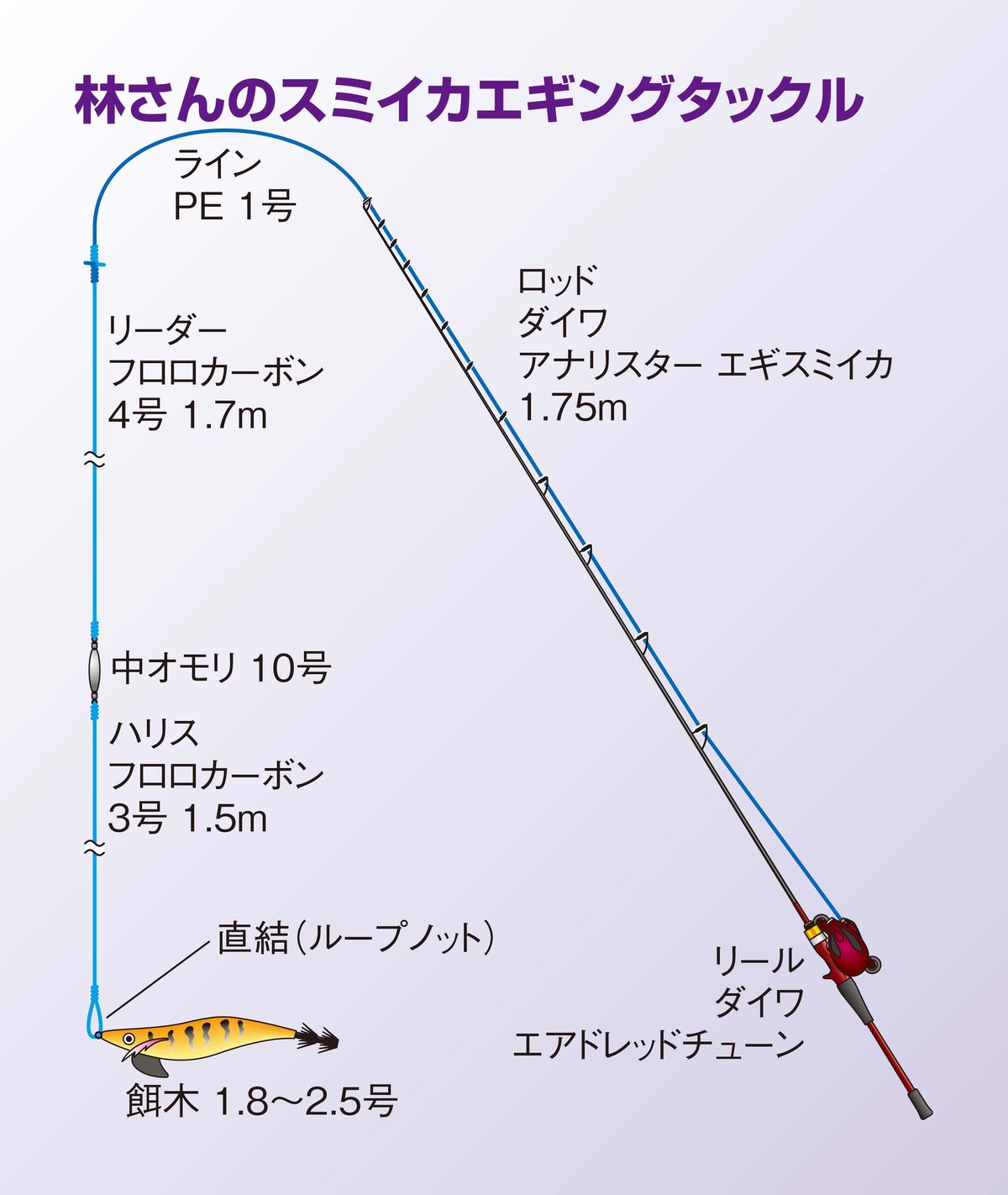 スミイカ釣り 釣期は10 1月 東京湾の美味ターゲット 魚種別釣りガイド