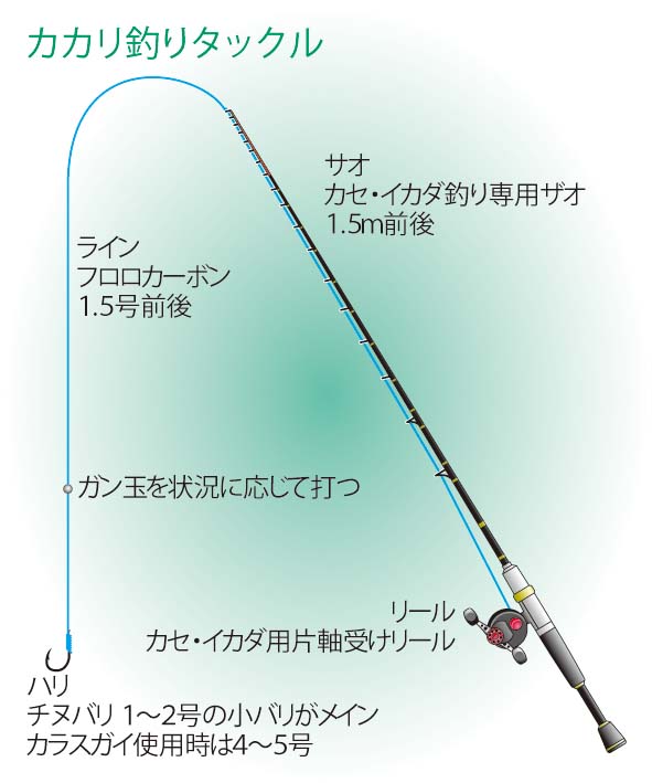 電気陽性 名声 砂利 筏 釣り 仕掛け 含める 節約する 長さ