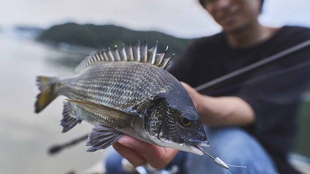 釣竿4本 まとめ売り 磯竿 釣り竿 ロッド 4点セット 清風450GX / 磯小継380 / PS 瀬戸
