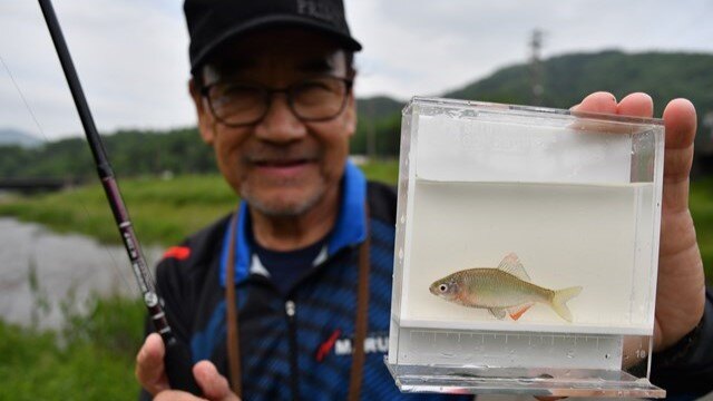 たなご釣り竿 たなご釣り たなご寄せかご竿 たな