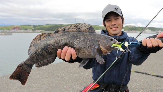 北海道】港用のロックフィッシュロッドを考える | undefined